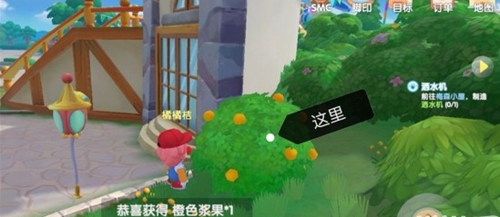 摩尔庄园手游游戏果实在哪儿 红色浆果和橘色果实部位详细介绍