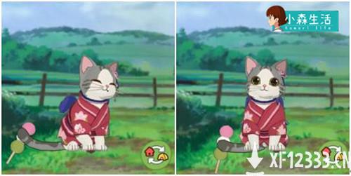 《小森生活》随记：没什么不开心，是撸一只猫咪不能解决的~
