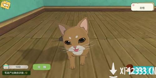 《小森生活》随记：没什么不开心，是撸一只猫咪不能解决的~