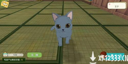 《小森生活》随记：没什么不开心，是撸一只猫咪不能解决的~