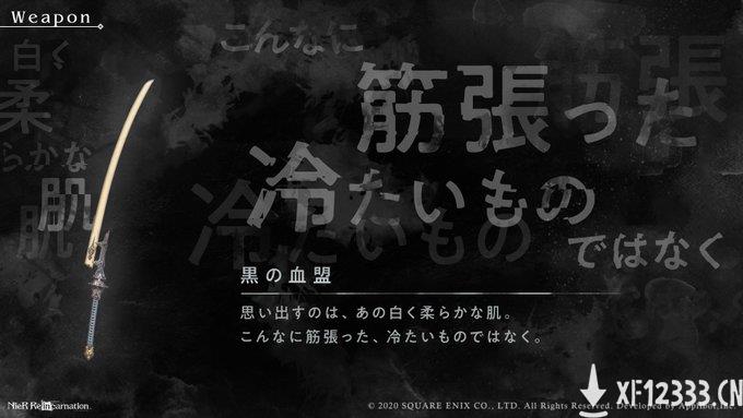 尼尔手游《NieR Re[in]carnation》新概念图：黑之血盟！