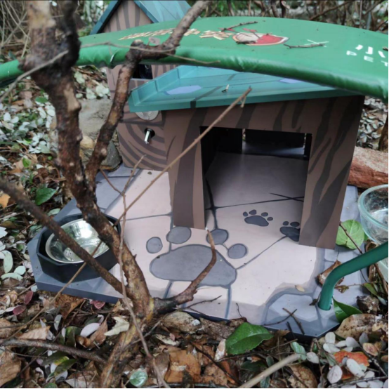 《部落冲突》联名PETKIT小佩宠物搭建公益猫屋，“流浪英雄小屋”高校安家