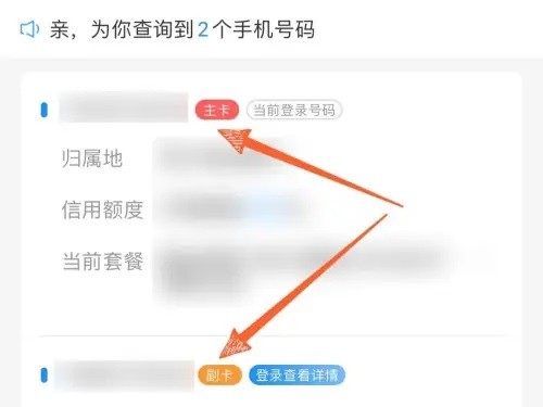 手机号码详情