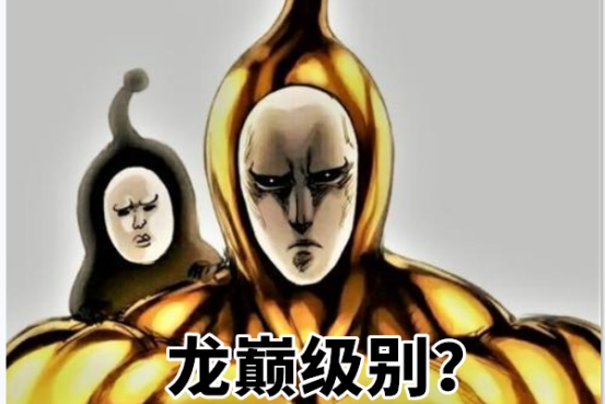 黄精与黒精