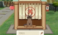 《小森生活》随记：没什么不开心，是撸一只猫咪不能解决的~