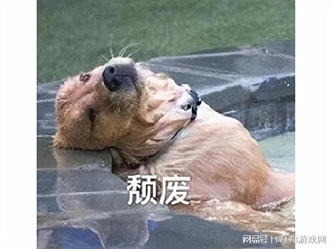 "剑灵台服毫无反抗，外挂氪金任意开启！直播也无法幸免"