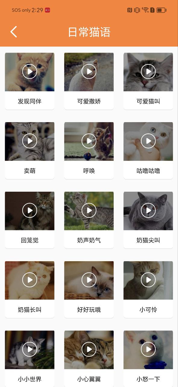 猫语翻译宝