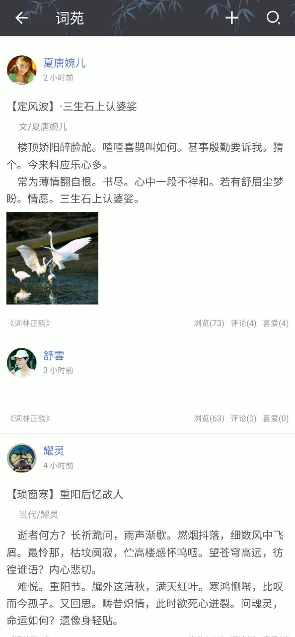 诗词格律app手机安卓版下载