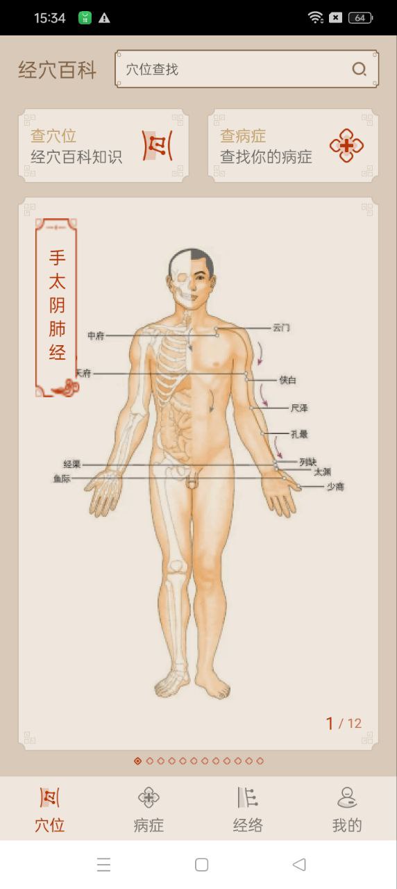 经络图解app下载最新