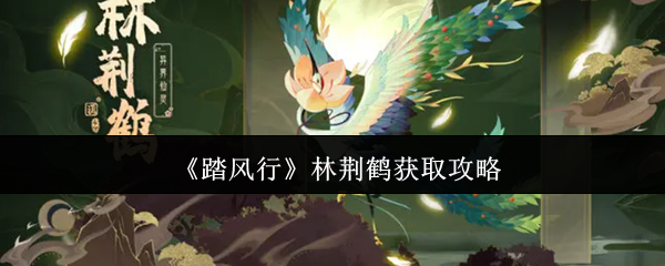 《踏风行》林荆鹤游戏指南