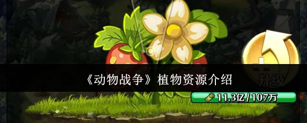 《动物战争》植物资源概述