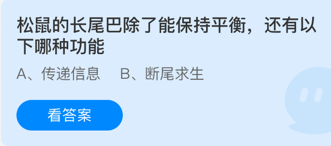 《支付宝》松鼠长尾巴的多重功能揭秘