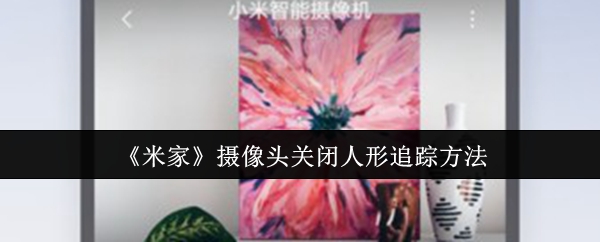 《米家》智能摄像头无视人形追踪技巧解析