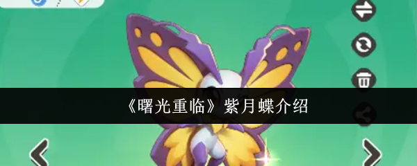 《曙光重临》紫月蝶的详细解析