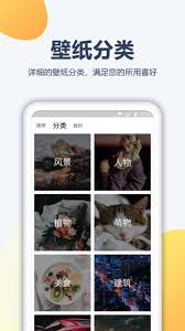 pptv聚力安卓版
