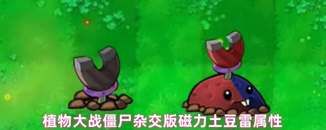 《植物大战僵尸杂交版》植物大战僵尸混合版磁力土豆雷的特性解析