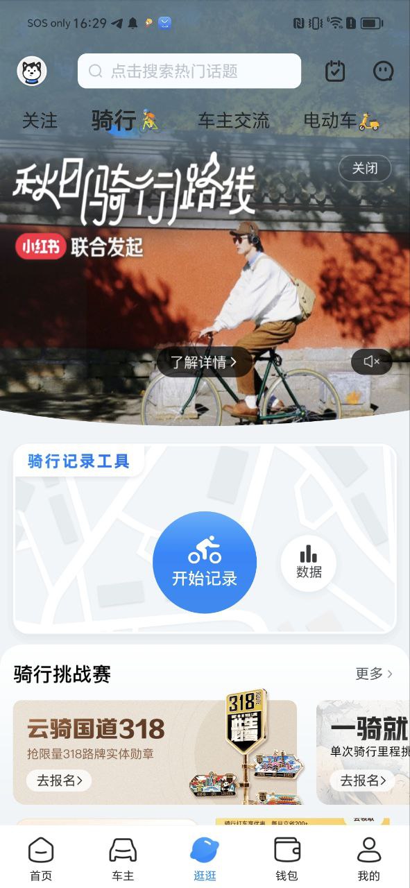 哈罗2025