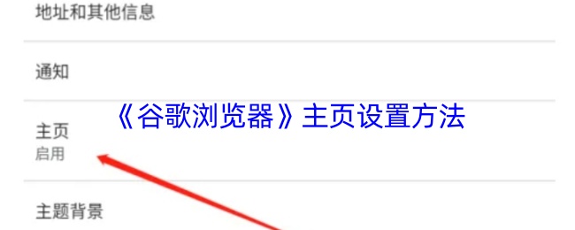 《谷歌浏览器》主页设置技巧与步骤指南