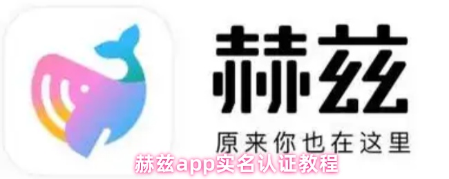 《赫兹》赫兹PP实名认证详细指南