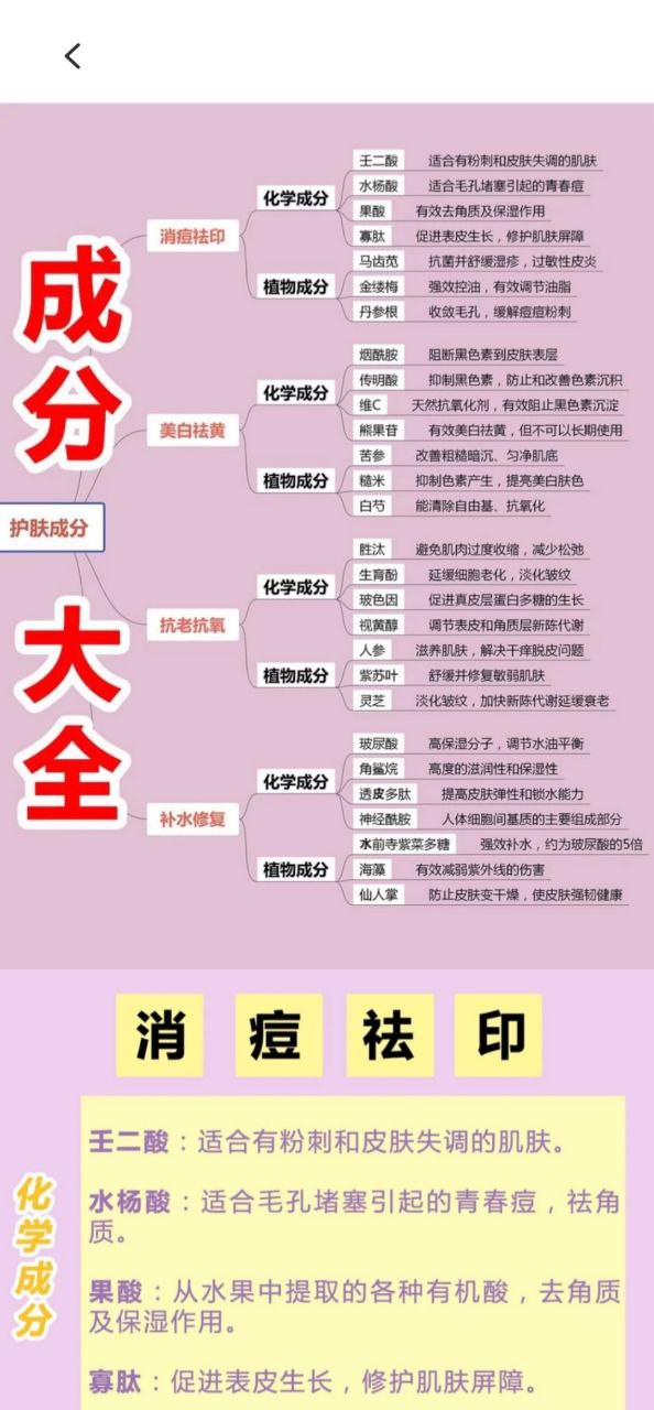 查妆妆安卓