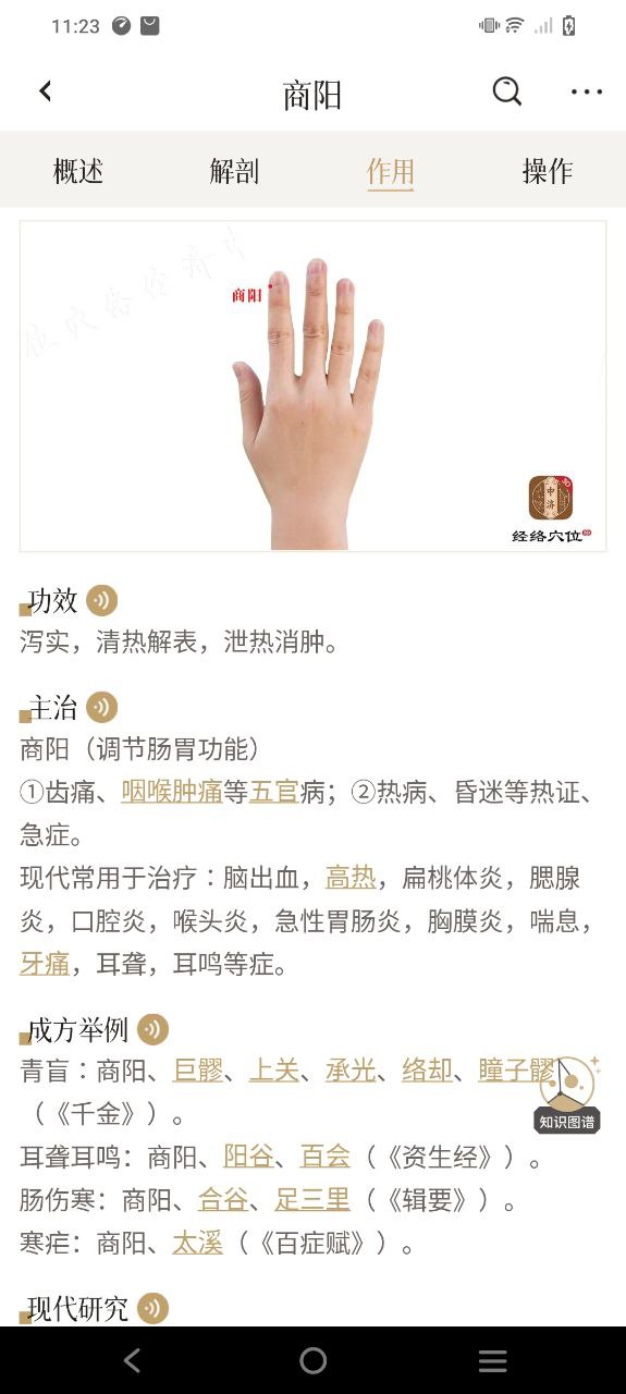 中济经络穴位安卓下载