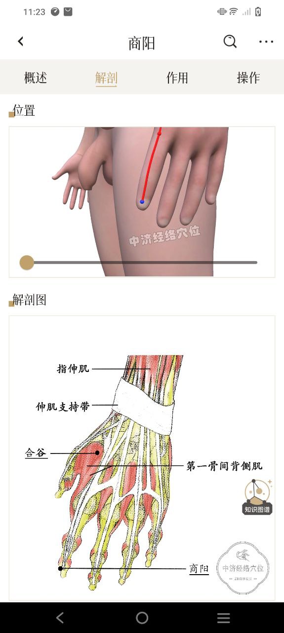 中济经络穴位