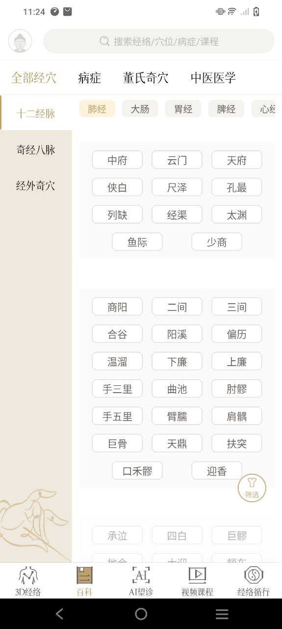 中济经络穴位安卓下载
