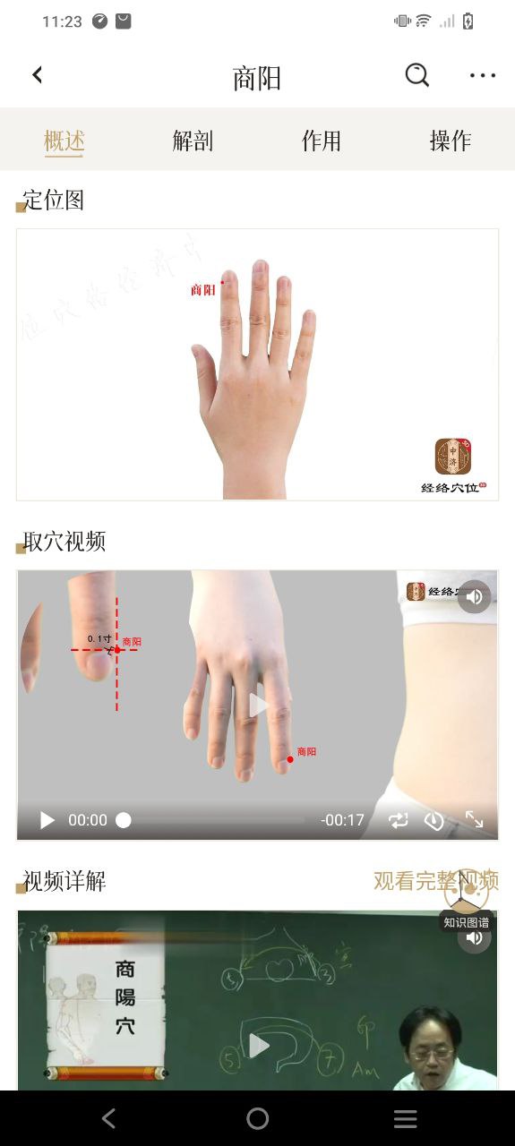 中济经络穴位安卓下载