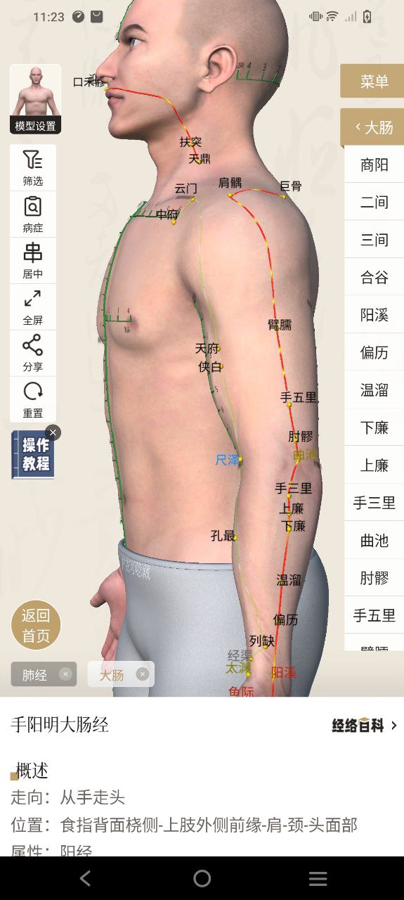 中济经络穴位安卓下载