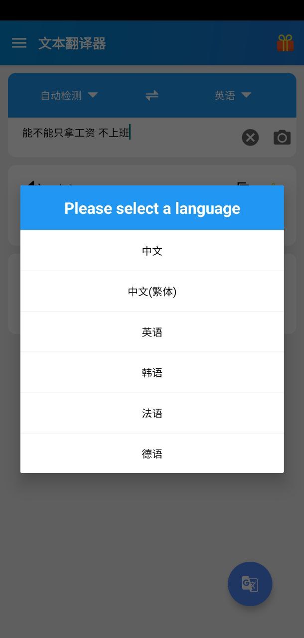 文本翻译器应用