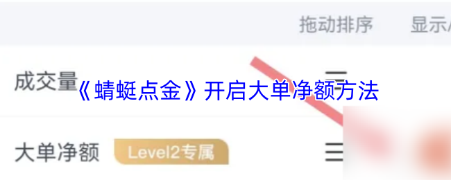 《蜻蜓点金》优化大单净额的技巧与方法