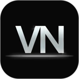 VN软件