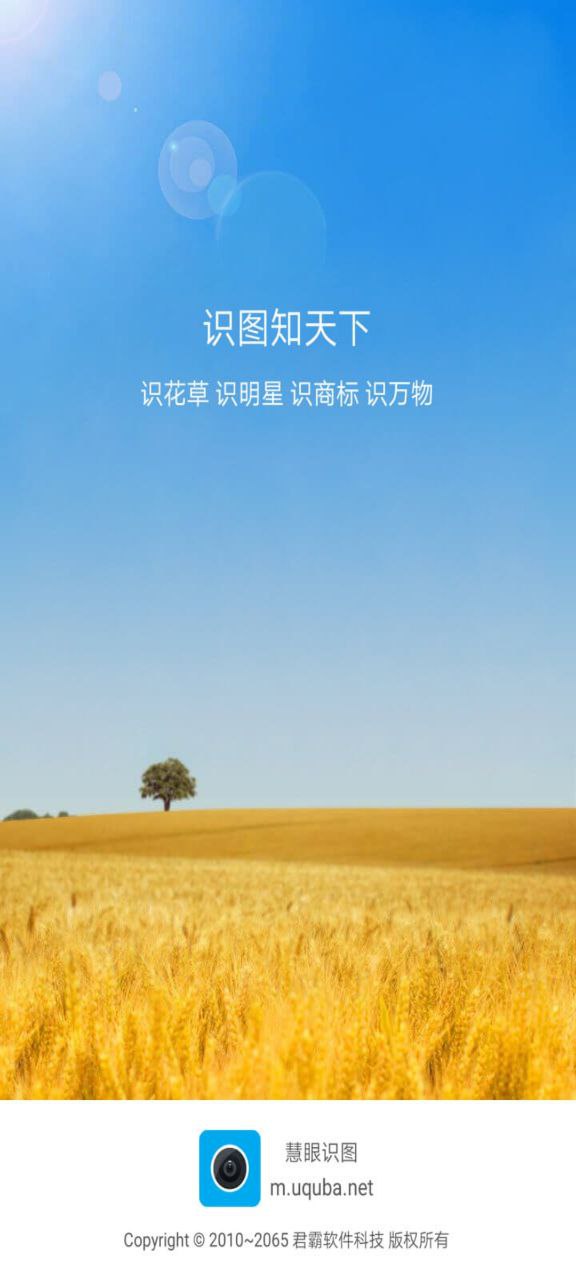 慧眼识图安卓