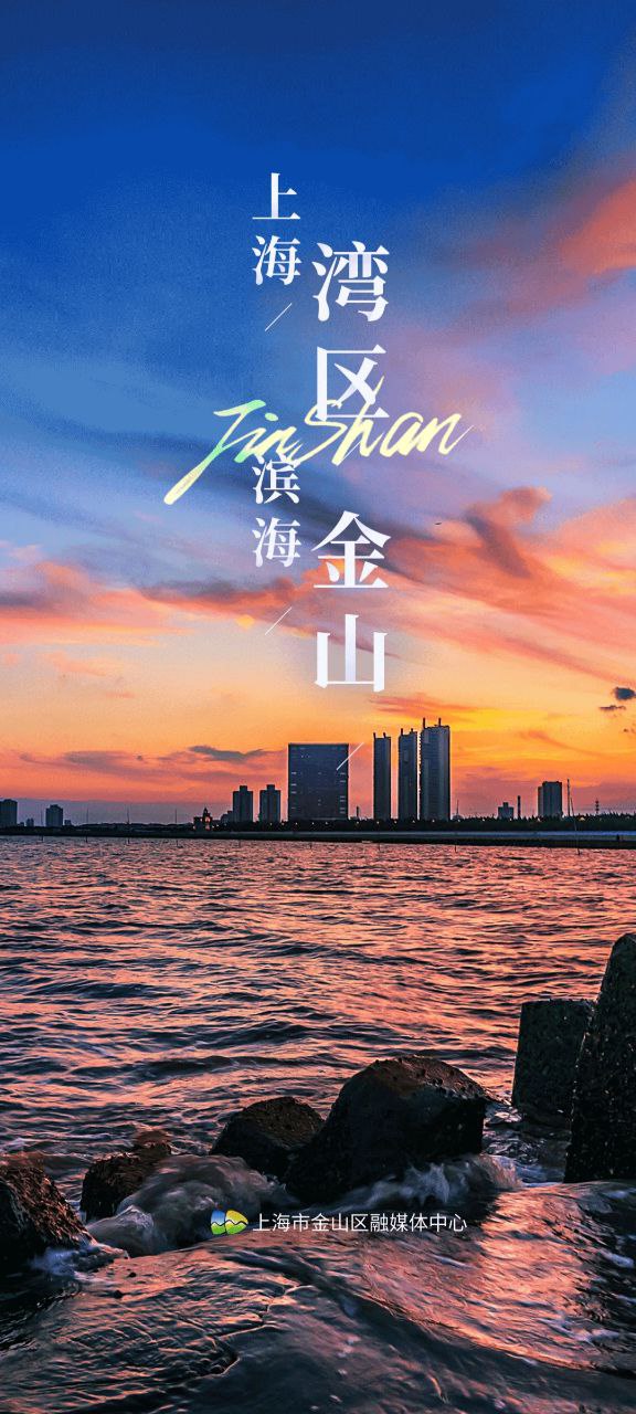 上海金山安卓