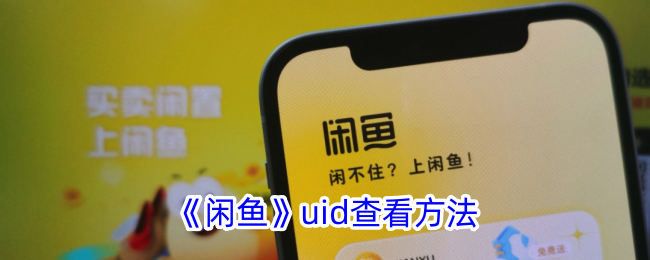 如何查看闲鱼UID