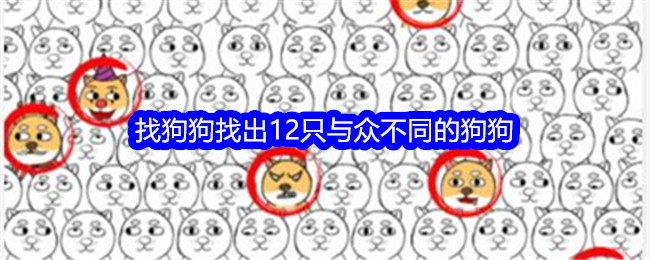 《只有我看得出来的独特狗狗》通关攻略